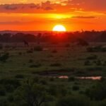 Naplemente a Nguuni Nature Sanctuary-ben, Mombasa, Kenyában.