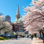 Tavaszi időjárás Philadelphia városában, virágzó fákkal.