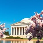 Thomas Jefferson-emlékmű cseresznyevirágokkal a Tidal Basin mellett