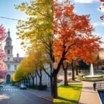 Torino tavaszi és őszi táj, virágzó fák és történelmi épületek.