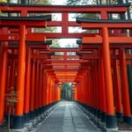 Fushimi Inari szentély piros torii kapui erdőben