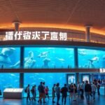 A Nagojai Kikötő Akváriuma lenyűgöző tenger alatti világ