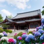 Meigetsu-in templom és hortenzia virágok Kamakurában, Japánban.