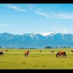 Kusasenri fennsík szépsége és legelésző lovak Japánban