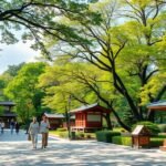 Séta a Dogo Parkban, Macujama gyönyörű fáival és házaival.