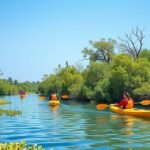 Kajakozás a Mangrove Nemzeti Parkban, Abu Dhabi nyugodt vízén.