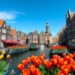 Színes tulipánok a Bloemenmarkt úszó virágpiacon Amszterdamban