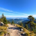 Kilátás Dobogókő és a Pilis hegység panorámájára.