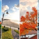 A Hága városának különböző évszakai: tavaszi tulipánok, nyári tengerpart, őszi falevelek és városi jellegzetességek.