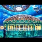 Az Oceanogràfic belső tere, egzotikus tengeri lényekkel.