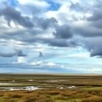 Tøndermarsken mocsárvidék panorámája Dániában