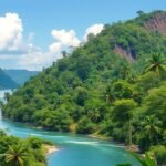 Campo Ma'an Nemzeti Park gyönyörű tája Kribi közelében