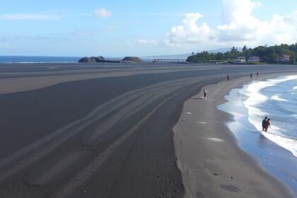 Limbé Down Beach fekete vulkáni homokja és pálmafái.