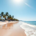 Bélabo homokos tengerpartja fákkal és napsütéssel