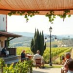 Borkóstolás Évora környékén, gyönyörű szőlőskertekkel