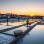 Aveiro sólepárlók naplemente alatt a fehér arany mezőkön.