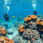 Búvárok felfedezik a Cabo Pulmo Nemzeti Park korallzátonyát.