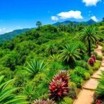 Vallarta Botanikus Kert zöldellő tája és sétányai a hegyekben