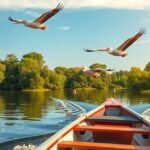 Pelikánok repülnek egy csónaktúra során a Duna-deltában