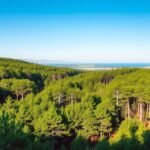 Almindingen erdő Aakirkebyben, Dánia gyönyörű természete