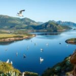 Madárles a Torskevig-öböl ben, gyönyörű táj és vízimadarak.